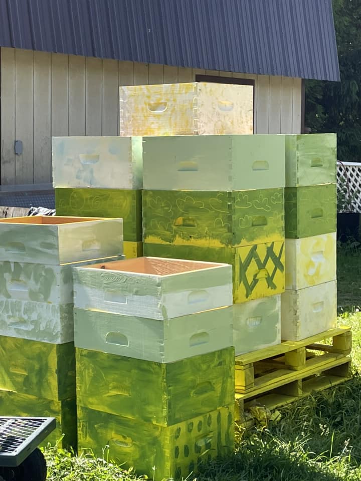 Bee Super Boxes