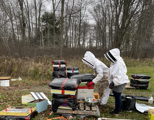 Junior Beekeeper