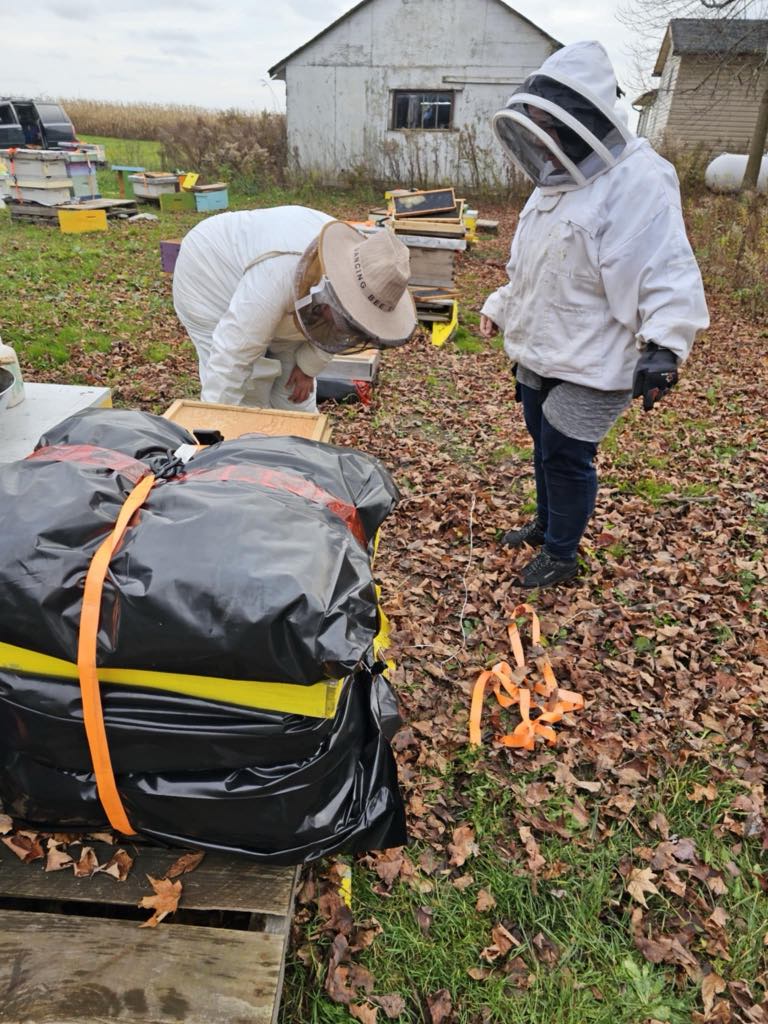 Beekeeping Equipment New Beekeepers Need