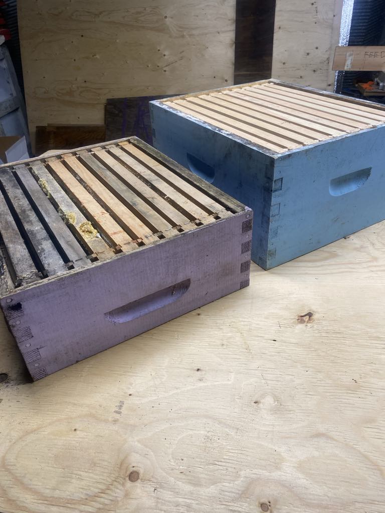 boxes in Beekeeping Equipment 