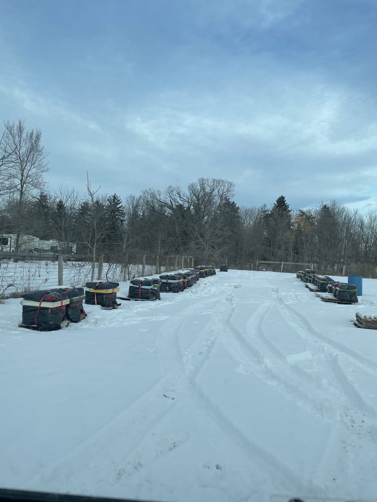 Inspecting beehives in Winter